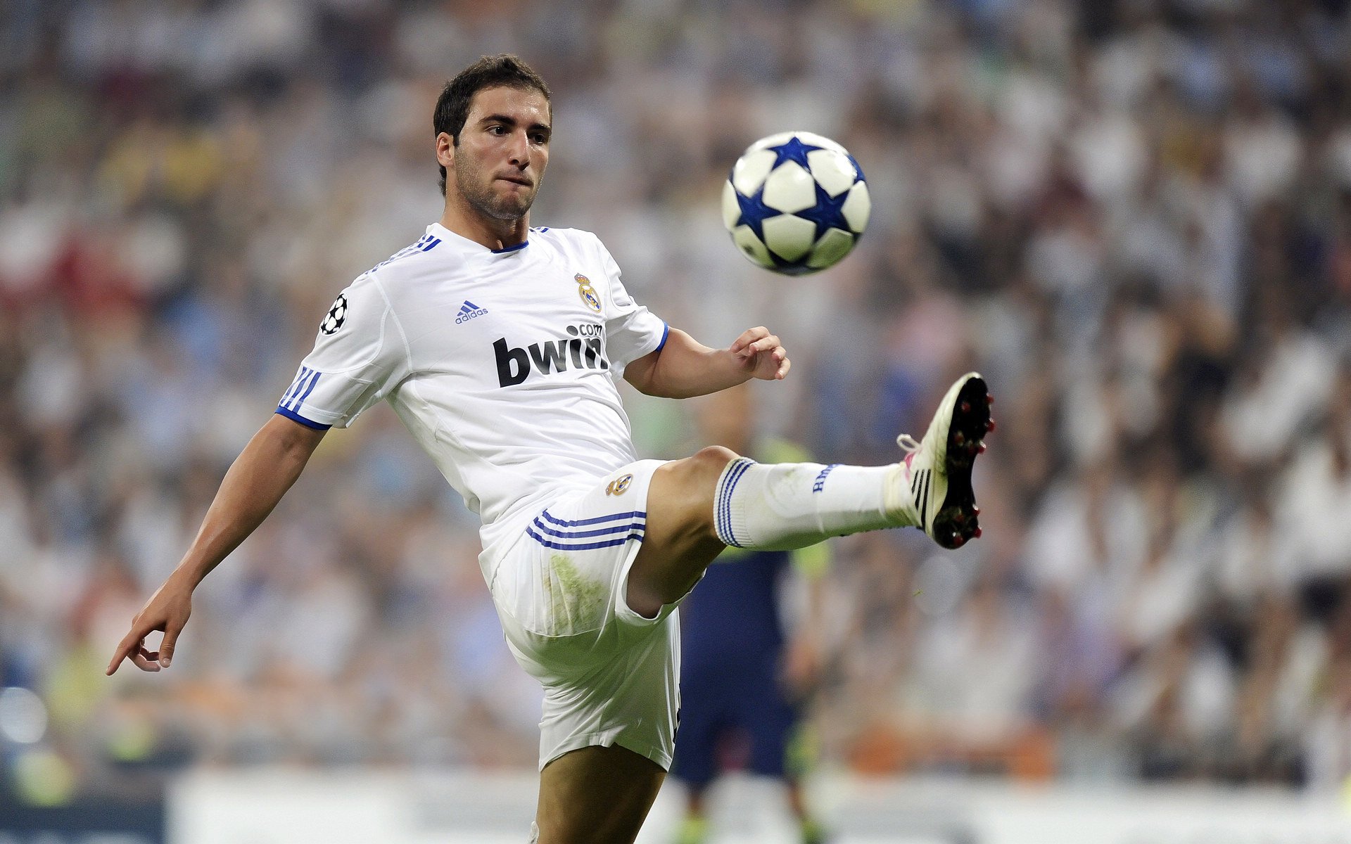 开云体育下载-《虚拟偶像荧幕助阵电竞比赛，明星效应持续扩大》，虚拟偶像舞台